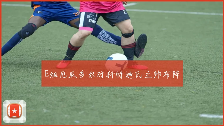E组厄瓜多尔对科特迪瓦主帅布阵