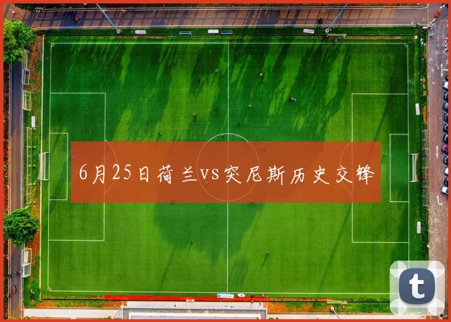 6月25日荷兰vs突尼斯历史交锋