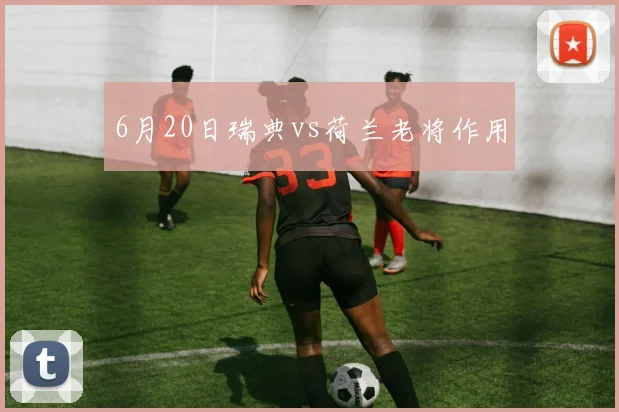 6月20日瑞典vs荷兰老将作用