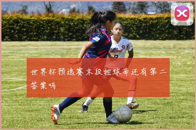 世界杯预选赛末段控球率还有第二答案吗