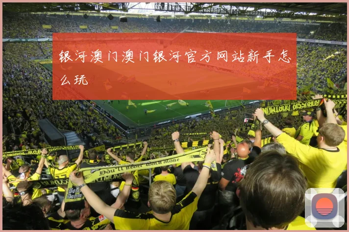 银河澳门澳门银河官方网站新手怎么玩