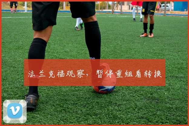 法兰克福观察，暂停重组看转换